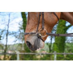 Museruola tedesca Jump'In Week Avana Marrone Museruola tedesca Jump'In Week Avana Marrone