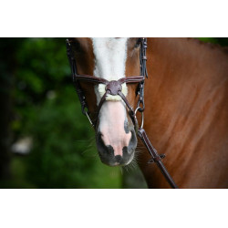 Museruola Tuesday Jump'In Mogano Bordeaux