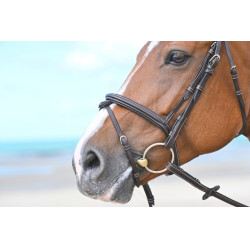 Museruola Tuesday Jump'In Mogano Bordeaux