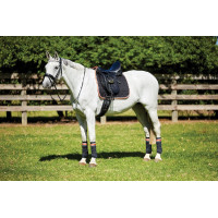 Sottosella da dressage Therapy-Tec Weatherbeeta Nero / argento / rosso Sottosella da dressage Therapy-Tec Weatherbeeta Nero / argento / rosso