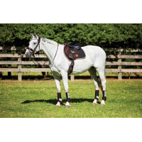 Sottosella Therapy-Tec Weatherbeeta Nero / argento / rosso Sottosella Therapy-Tec Weatherbeeta Nero / argento / rosso