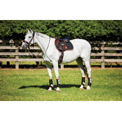 Sottosella Therapy-Tec Weatherbeeta Nero / argento / rosso Sottosella Therapy-Tec Weatherbeeta Nero / argento / rosso