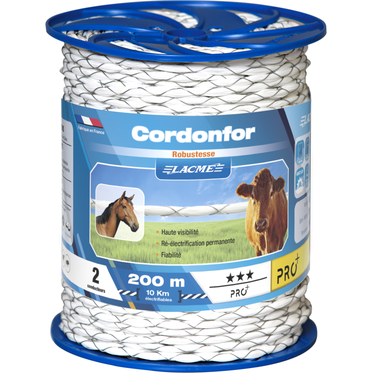 Cintura Cordonfor Lacmé Cintura Cordonfor Lacmé