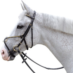 Briglia con chiusura incrociata Canter Briglia con chiusura incrociata Canter