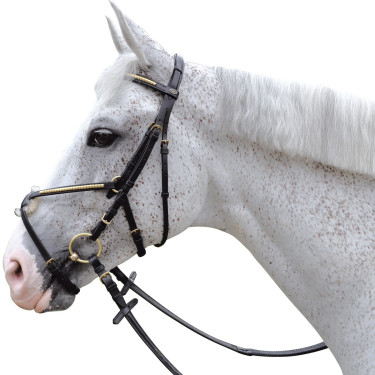 Briglia con chiusura incrociata Canter Briglia con chiusura incrociata Canter