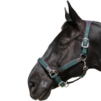 Capestro Flags & Cup Nylon/cuoio Marrone / blu navy Capestro Flags & Cup Nylon/cuoio Marrone / blu navy