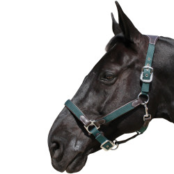 Capezzina Flags & Cup in nylon/pelle Marrone / oliva Verde