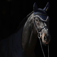 Cuffia antimosche Bucas Blu marino / oro