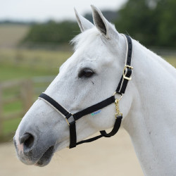 Capezza Bucas Dublin Nero / argento