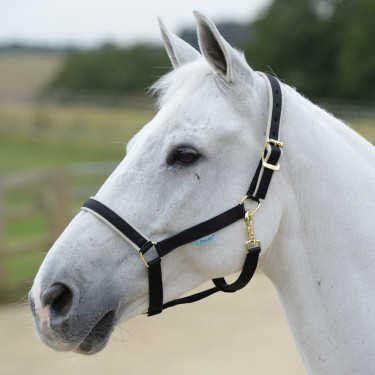 Capezza Bucas Dublin Nero / argento