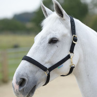 Capezza Bucas Dublin Nero / nero