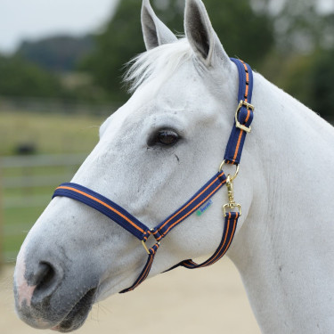 Capezza Bucas Dublin Blu navy / arancione