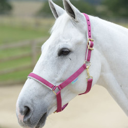 Capezza Bucas Dublin Rosa / argento