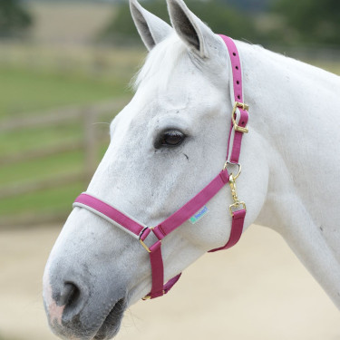 Capezza Bucas Dublin Rosa / argento