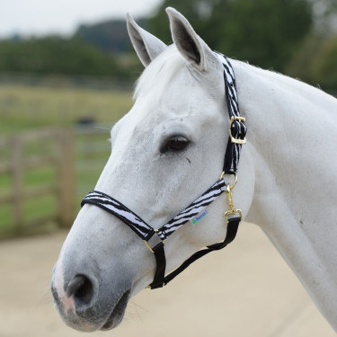 Capezza Bucas Dublin Zebra / nero Motivi