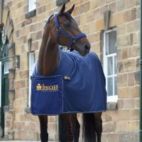 Coperta asciugante Bucas Panel Prize Cooler Blu marino / oro Coperta asciugante Bucas Panel Prize Cooler Blu marino / oro