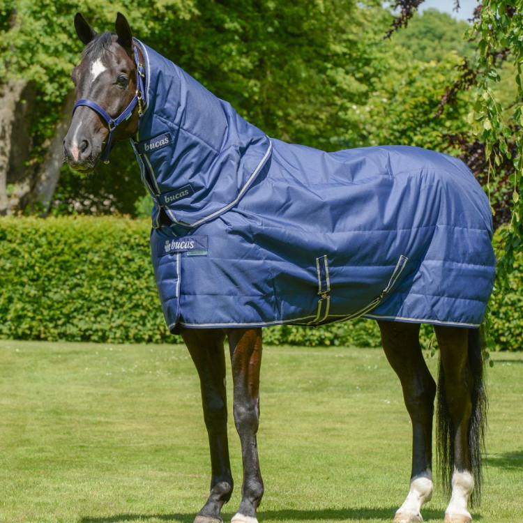 Coperta da scuderia Bucas Quilt 150g Stay-Dry