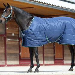 Coperta da scuderia Bucas Quilt 300g Stay-Dry