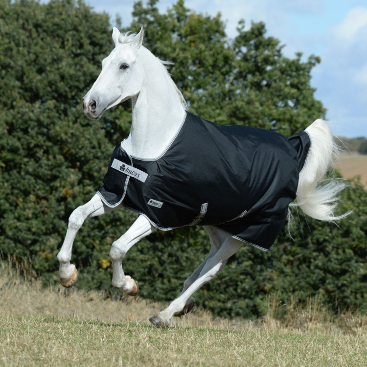 Coperta impermeabile Bucas Anniversary Turnout 150g SD