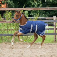 Coperta puledro Bucas Turnout 50g Blu navy argento / blu navy Coperta puledro Bucas Turnout 50g Blu navy argento / blu navy