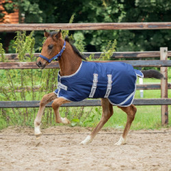 Coperta puledro Bucas Turnout 50g Blu navy argento / blu navy Coperta puledro Bucas Turnout 50g Blu navy argento / blu navy