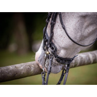 Briglia da dressage lucida Jump'In week Nero Briglia da dressage lucida Jump'In week Nero