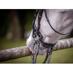 Briglia da dressage lucida Jump'In week Nero Briglia da dressage lucida Jump'In week Nero