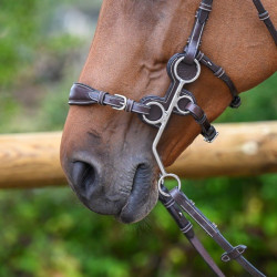 Protezioni Jump'In per hackamore 0091 e 0092