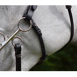 Montanti e cinghia per hackamore Jump'In week Montanti e cinghia per hackamore Jump'In week