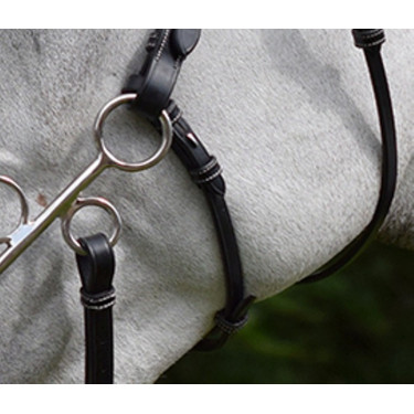 Montanti e cinghia per hackamore Jump'In week Montanti e cinghia per hackamore Jump'In week