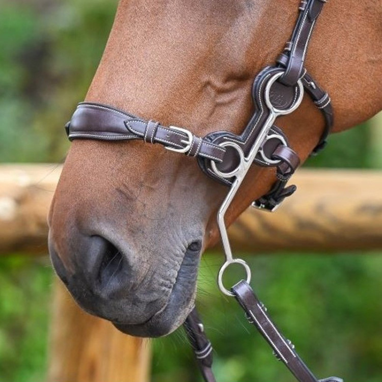 Naso di hackamore piombato Jump'In