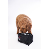Ciotola da viaggio per cane Buddy HKM Nero Ciotola da viaggio per cane Buddy HKM Nero