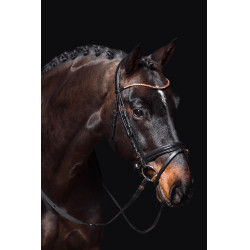 Briglia Rosegold Glamour Style HKM Nero / oro rosa