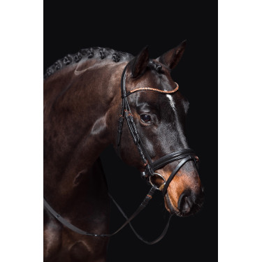 Briglia Rosegold Glamour Style HKM Briglia Rosegold Glamour Style HKM