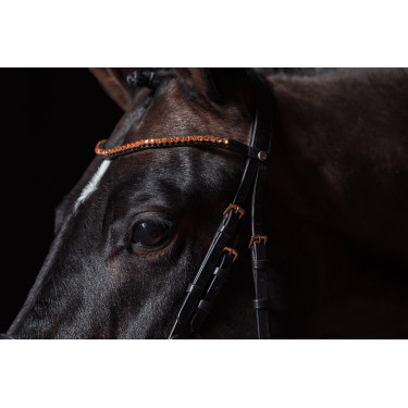 Briglia Rosegold Glamour Style HKM Briglia Rosegold Glamour Style HKM
