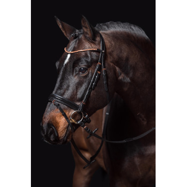 Briglia Rosegold Glamour Style HKM Briglia Rosegold Glamour Style HKM