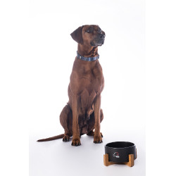 Ciotola per cane Buddy in ceramica HKM Nero