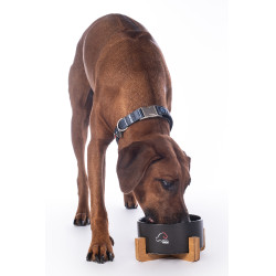 Ciotola per cane Buddy in ceramica HKM Nero