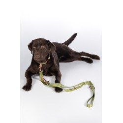 Guinzaglio da addestramento per cani Qooper in nylon HKM Pistacchio Verde