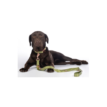 Guinzaglio da addestramento per cani Qooper in nylon HKM Guinzaglio da addestramento per cani Qooper in nylon HKM