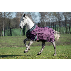 Coperta da esterno Liberty 1200D fod. liscia HKM Vinaccia / grigio Viola Coperta da esterno Liberty 1200D fod. liscia HKM Vinaccia / grigio Viola