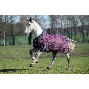 Coperta da esterno Liberty 1200D fod. liscia HKM Vinaccia / grigio Viola Coperta da esterno Liberty 1200D fod. liscia HKM Vinaccia / grigio Viola