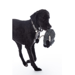 Giocattolo per cane Buddy Sheep HKM Giocattolo per cane Buddy Sheep HKM