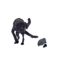 Giocattolo per cane Buddy Sheep HKM Grigio / nero