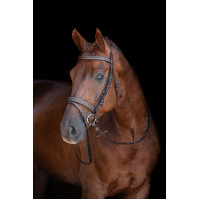 Bridon Lou HKM Marrone