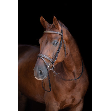 Bridon Lou HKM Marrone