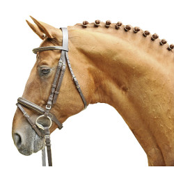 Bridon Lou HKM Marrone