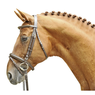 Bridon Lou HKM Marrone