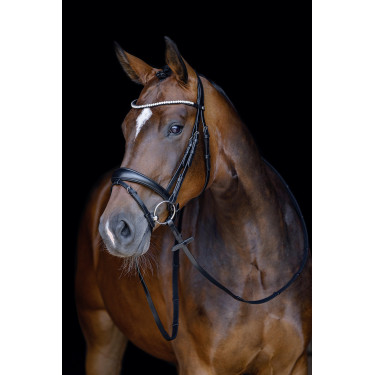 Bridon Melinda HKM Nero