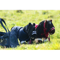 Set de démarrage Cuddle Pony HKM